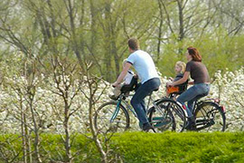 fietsen westkapelle