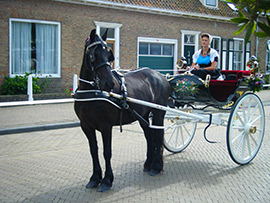 sjezenrijden