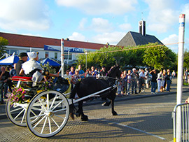 sjezenrijden