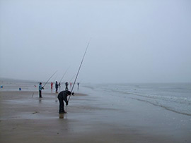 vissen westkapelle strand