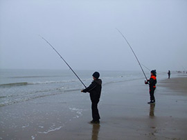 vissen westkapelle zeeland