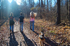 Wandelen Westkapelle