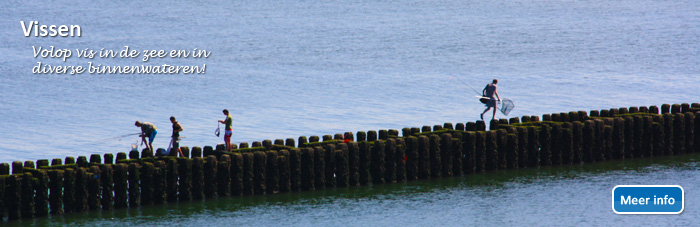vissen-zeeuwse-kust