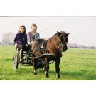 boerderijcamping3