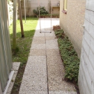 tuin