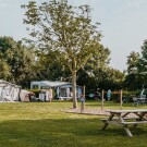 zoutelande_minicamping_zeeland (1222)